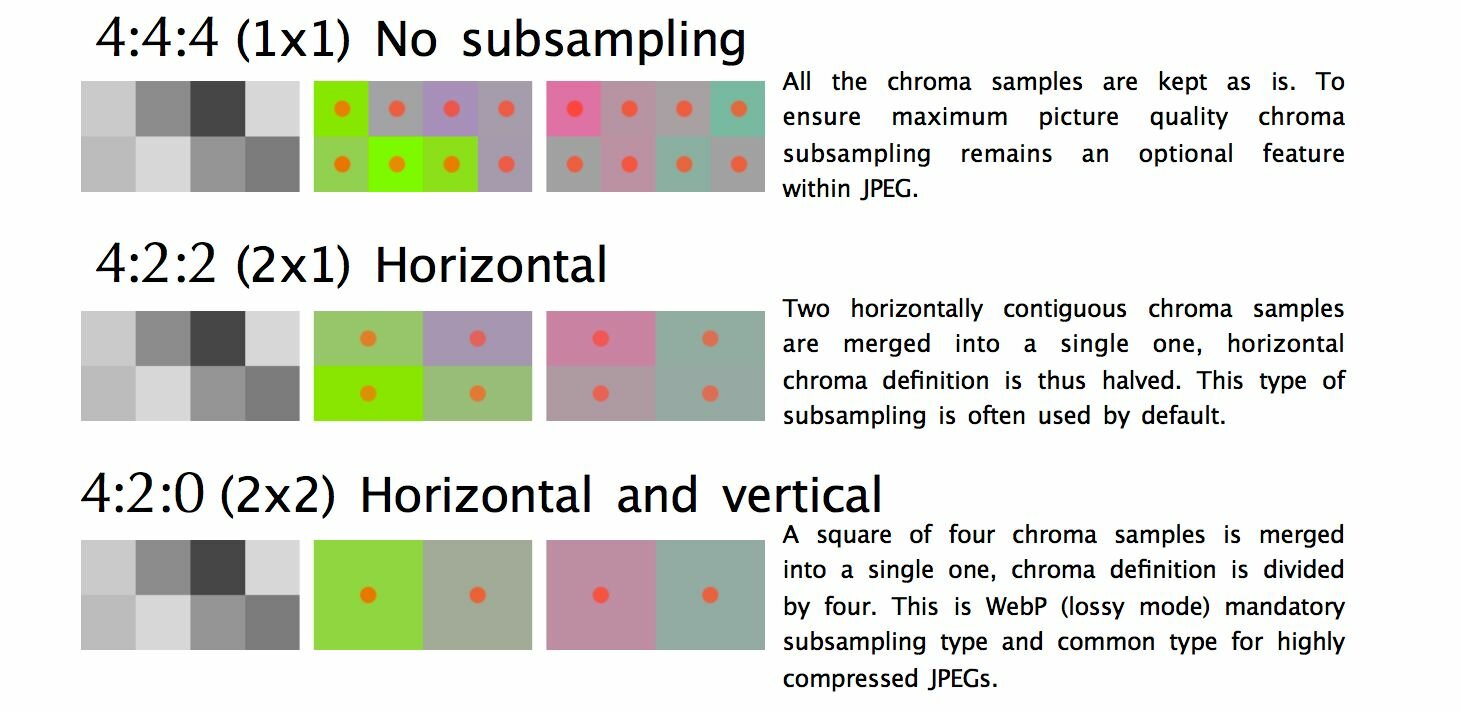 JPEG includes support for numerous subsampling types: none, horizontal and horizontal and vertical.